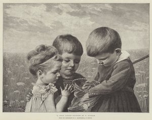 Flói í Suður -Frakklandi (líkamslitur)